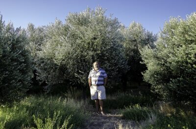 Carlos Sylwain en sus olivos patagonicos.