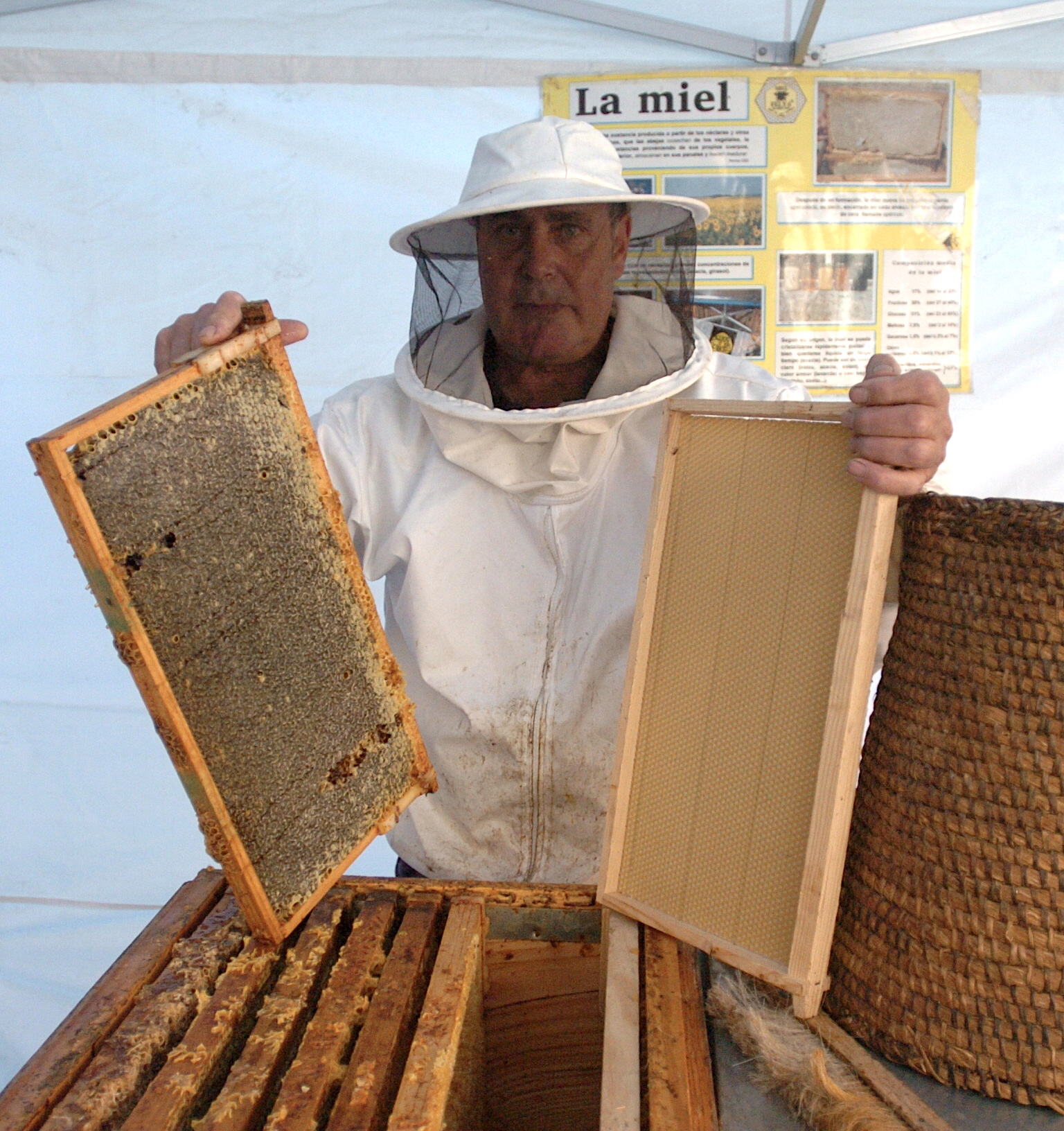 La Apicultura es una técnica milenaria. Foto: La Rioja.