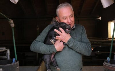 José Reverte abraza uno de los lechones de chato murciano que crecen en su granja de Campillo, en Lorca. / MARTÍNEZ BUESO
