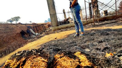 Daisy lo perdió todo en los incendios que solaron Itata.