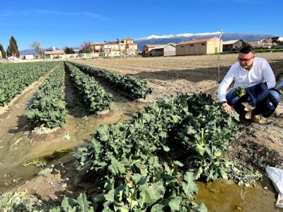 Leandro Martín en un campo de bimi . Foto: Pepe Marín Zarza.