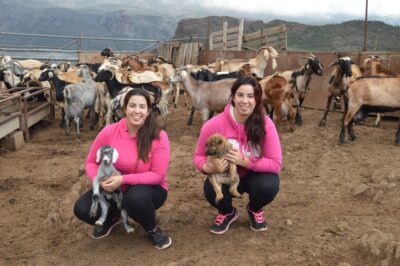 Las hermanas Mayor en la granja