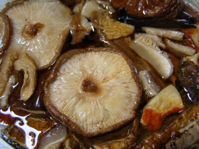 El shitake es una de las setas que cultivan