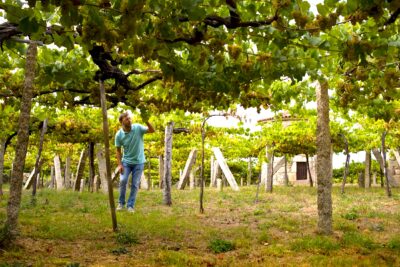 Eulogio Zárate en los antiguos emparrados de la bodega Zárate.