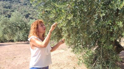 Nuria en el olivar de Almazaras de la Subbética