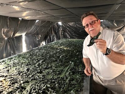 Rafael Montoro, gerente de ASN Espirulina, muestra el producto en el proceso de secado. Foto Paco Espadas