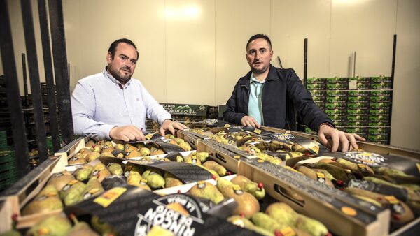 Roberto y Richar Pérez Viguera, de Frutas Valle del Moncalvillo, con peras de Rincón de Soto. Foto Justo Rodríguez.