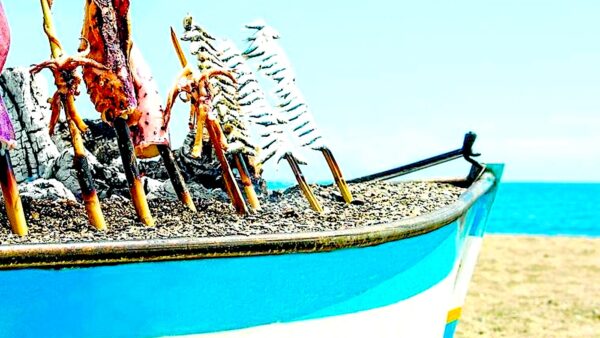 VI Ruta del Espeto. Diario Sur.
