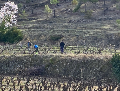 Finca de Josep Grau Viticultor
