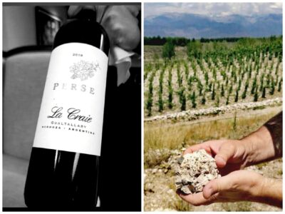 Pura roca calcarea que se expresa en el corazon de tiza de La Craie. En la anada 2019 100 pts Parker