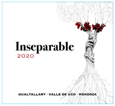 Un suelo, un viñedo y la visión de un viticultor sobre ellos son los que generan un vino y son inseparables.