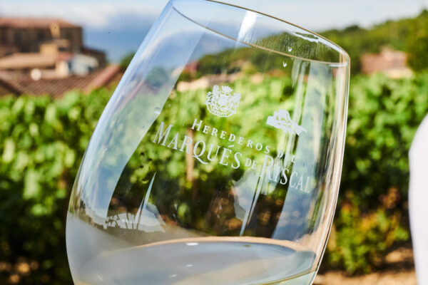 Copa de vino
