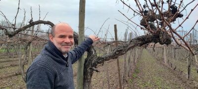 Cristian Correa, responsable del viñedo y los vinos de Viña Intriga. Foto M. Martínez.