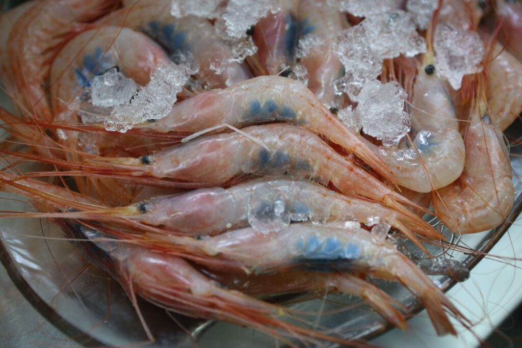 Quisquillas de Motril