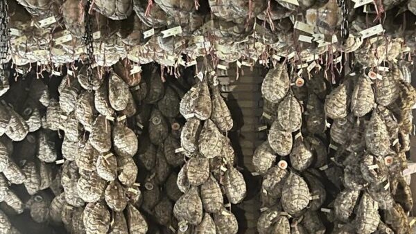 Secadero de culatello