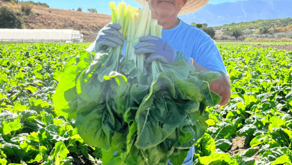 ANDRÉS PLAZA, AGRICULTOR DEL SELLO CALMA. FOTO ELADIO FYV