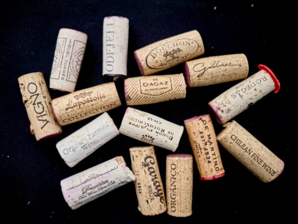 Corchos de carignan de VIGNO.