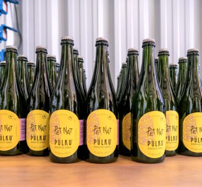 En Pulkü nace una gama completa de productos, de la manzana al casis. Foto, Damián Liciviche..