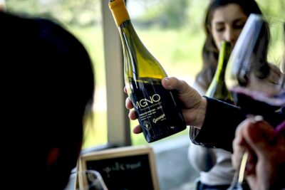 El VIGNO de 2021 de Garage Wines.