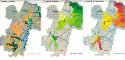 Los mapas de la carignan de VIGNO.
