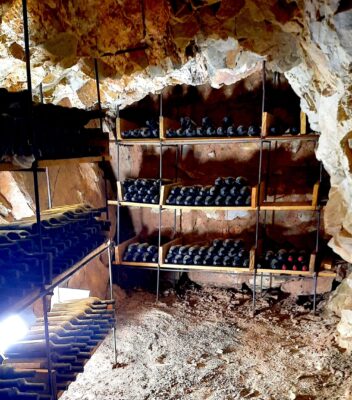 La mirada de la Tana Bellincioni a los vinos jujeños 4