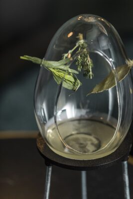 Krypta, cóctel de Sips