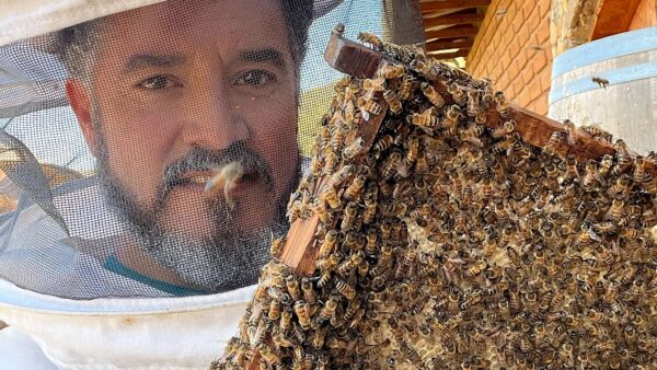 José Antonio Aguirre, el hombre que danza con las abejas.