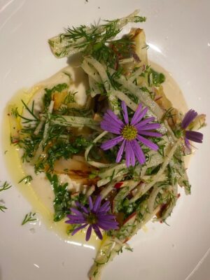 Col y coliflor