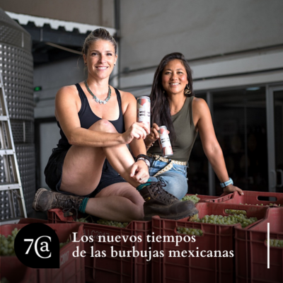 Resumen de un año entre vinos 1