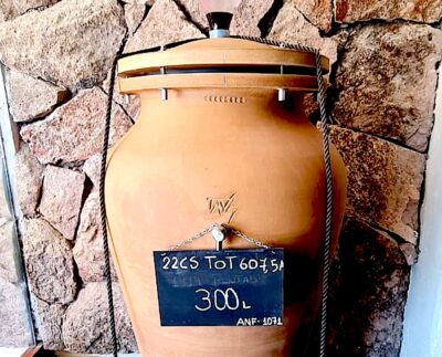 El ánfora del cabernet sauvgnon del 2020