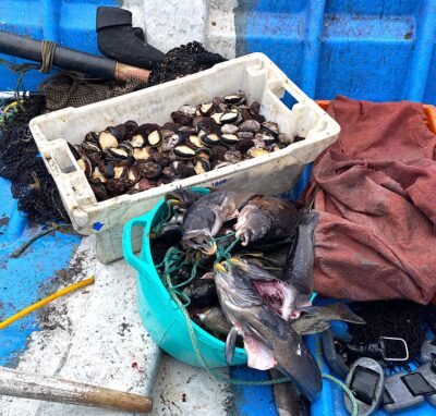 En Donde Jaimini se cocina lo que se pesca. Hoy, viejas y lapas. Foto, Pamela Villagra,