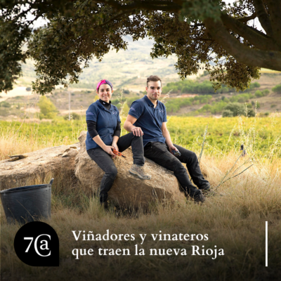 Resumen de un año entre vinos 5