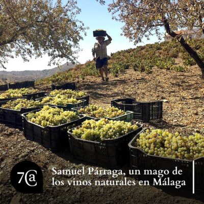 Resumen de un año entre vinos 6