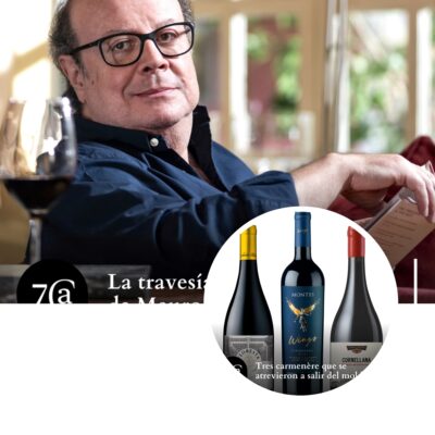 Resumen de un año entre vinos 3