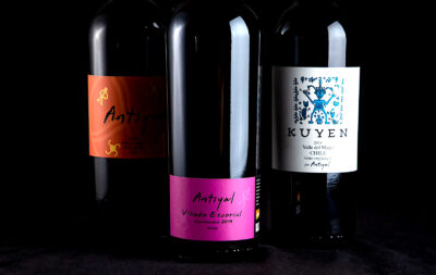 Vinos de Antiyal
