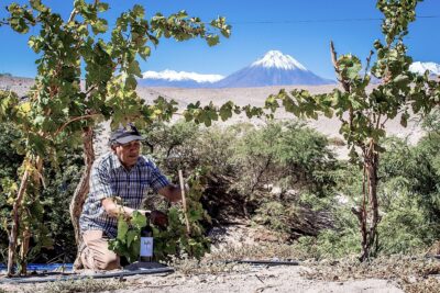 Gerardo Puca en el Valle de Puques.