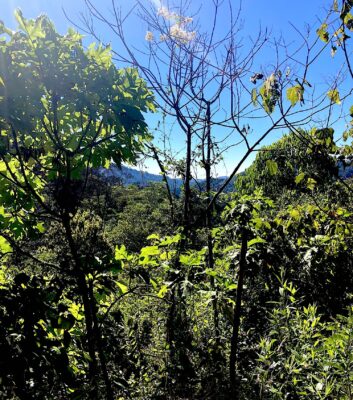 La Finca Santa Maria está ubicada en un bosque de niebla , en una reserva de flora y fauna.
