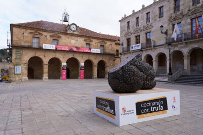 Concurso Cocinando con Trufa