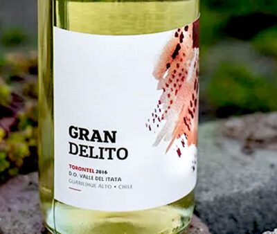 Gran Delito Torontel 2021, Valle del Itata
