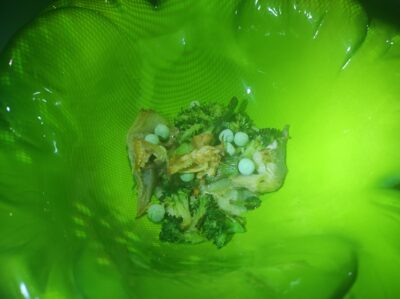 Hummus de alcachofa con verduras, de Sinestesia