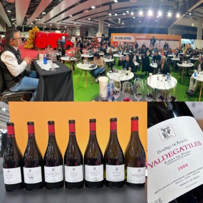 Cata de dominio de Atauta