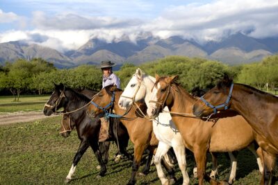 Turismo a caballo en La Matilde