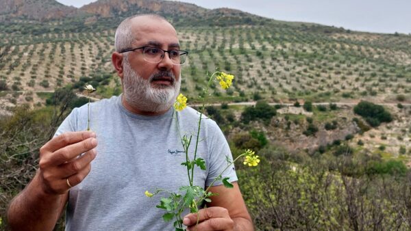 Juan Carlos Roldán, especialista en hierbas y vegetales de Jaén