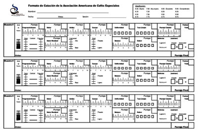 Formato de catacion de SCA. Fuente, SCA.