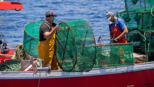 Pesca en nasas