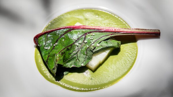 Chayote, acelga ahumada y mole verde. Edgar Núñez en Sud 777