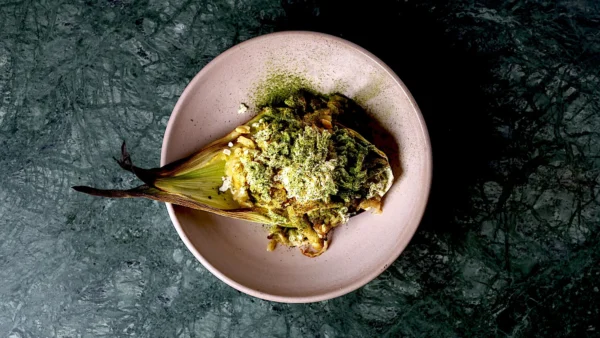 Tamal al carbón y hongos. Camila Lechin en Hapo