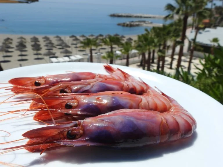 Un verano de chiringuitos en Málaga 2