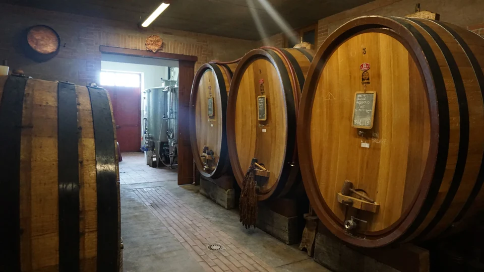 El lenguaje del vino y su uso erróneo (I) 1