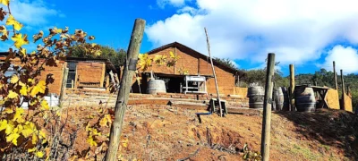 Bodega Herrera-Alvarado.Foto, Mariana Martínez.